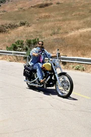 Reno Raines (Lorenzo Lamas)