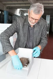 Dr. Detlef Jantzen.