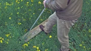 Auch wenn sie oft mit mit UFO-Landungen in Verbindung gebracht werden, können Kornkreise leicht von Menschenhand erstellt werden - wie bin diesem "Crop Circle Board" ...