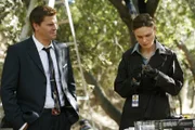 Booth (David Boreanaz) und Brennan (Emily Deschanel) arbeiten an einem neuen Fall: In den Baumkronen eines Naturschutzgebietes wurden Knochen gefunden. Wie sind sie dort gelandet und von wem stammen sie?