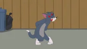Tom
