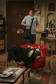 Tierischer Besuch: Ted (Josh Radnor) ...