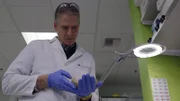 Neurobiologe Christof Koch im Institut für Gehirnforschung befasst sich mit Verknüpfungen im Gehirn.