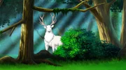 Faszinierend! Ein weißer Hirsch taucht unerwartet im Wald auf!
