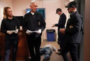 (v.l.n.r.) Eleanor Bishop (Emily Wickersham); Leroy Jethro Gibbs (Mark Harmon); Nick Torres (Wilmer Valderrama)