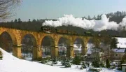 Die 58 311 zieht einen Güterzug durch den Thüringer Wald.