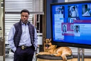 Donovan (KEVIN HANCHARD) and Rex (DIESEL VOM BURGIMWALD)