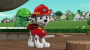 Marshall
