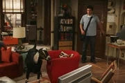 Ted (Josh Radnor) bekommt tierischen Besuch ...