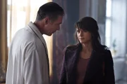 FBI-Ermittler Warren Schifford (Greg Wise) und Psychologin Johanne Vik (Melinda Kinnaman) haben ein Geheimnis aus ihrer Vergangenheit. Ihr Verhältnis zueinander belastet die Ermittlungen.