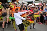 Foto 1 Das Carabao-Festival in Pulilan. Über 1000 Büffel (Carabaos) werden für die Prozession zu Ehren des Heiligen Sankt Isidor geschmückt.
