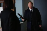 Megan Boone, James Spader
