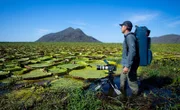 Kameramann Joao Paulo Krajewski filmt Riesenseerosen im Herzen des Pantanal-Feuchtgebietes in Brasilien.
