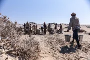 Diamantenrausch: Mit einfachen Sieben und Wasser waschen Stauchs Arbeiter die ersten Diamanten aus dem Sand.
