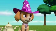 Skye