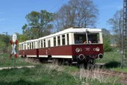 Buckower Kleinbahn.