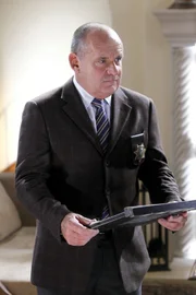 Paul Guilfoyle (Captain Jim Brass).