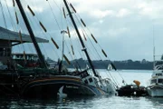 Das Schiffswrack des Greenpeace-Schiffes "Rainbow Warrior".