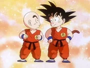 Die Freunde Son-Gokus denken an ihn (re.) und Kuririn. Sie waren früher immer Freunde und Gegner...