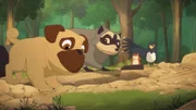 Auch die Tiere der Scheunenbande - Biff, Looper, Houdini und Pica – sind auf Schatzsuche und graben im Wald, was das Zeug hält.