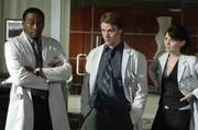 L-R: Foreman (Omar Epps), Chase (Jesse Spencer), Cameron ( Jennifer Morrison)