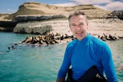 Während die Seelöwen an Land schnell die Flucht vor dem Menschen ergreifen, trauen sie sich an Schwimmer erstaunlich nahe heran – vermutlich weil sie ihre Überlegenheit im nassen Element spüren.