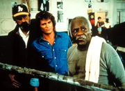 Aufmerksam verfolgt Großvater Boomer (Hank Rolike, r.) zusammen mit Mark (Victor French, l.) und Jonathan (Michael Landon) einen Kampf seiner Schützlinge.