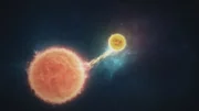 Im Universum gibt es zahlreiche Vampirsterne, die anderen Himmelskörpern die Materie absaugen.