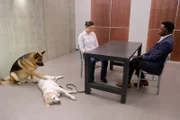 L-R: Superintendent Joseph Donovan (KEVIN HANCHARD) befragt Marlene (ANTOINETTE FEKETE), während Rex (DIESEL VOM BURGIMWALD) auf ihren Hund Sally achtet.
