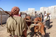 Die Bundeslade zu transportieren, war ein gefährliches Unterfangen. Usa (George C. Scott, l.) versuchte laut Bibel die heilige Lade aufzufangen, als diese vom Ochsenkarren zu rutschen drohte, und verlor dabei sein Leben.