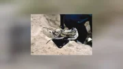 Die Spurensicherung findet in den Dünen der Insel Amrum einen Männerschuh.