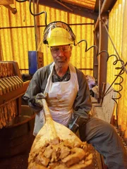 Mike Rowe.
