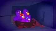 Fieps und der Kinoabend 2