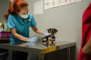 Shaliqua the dog with Dr. Petra Young