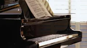 Wohnzimmer mit Stutzflügel AA040608