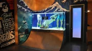 Wideshot of Skatetank.