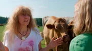 Fleisch oder kein Fleisch? Seit wann ist es nicht nur privat, sondern auch politisch, wie wir uns ernähren? Silke Ruthenberg ist schon seit über 30 Jahren vegan und rettet heute noch Tiere vor dem Schlachten.