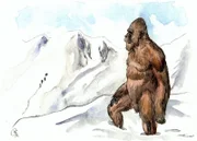 An artist's depiction of the Yeti or Abominable Snowman, the man-beast reportedly living in the Himalayan mountains of Nepal and Tibet. (Credit: File Courtesy Fortean Picture Library)