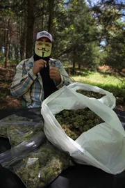 Drogendealer in Tennessee.