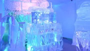 Ice Bar Aquarium.