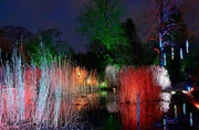 Das Parkleuchten im Grugapark findet vom 21.01. bis zum 26.02.2023 statt. - (Archivfoto v. 30.01.2022)