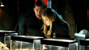 Ein Skorpionbiss an der Schulter des Opfers führt Greg (Eric Szmanda) und Morgan (Elisabeth Harnois) in die Lagerhalle des Insekten,- und Reptilien-Sammlers Kieran Clark. Ist er der Mörder von Lexi und der Entführer von Cara?