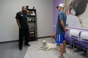 Dr. Blue goes over possible treatment methods for Medics benign tumor.