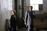 (L-R) Kathryn Erbe, Vincent D'Onofrio