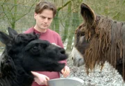 Marco Kissling mit Poipou-Esel Jaques (rechts) und Alpaka Pico.