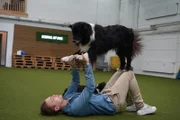 Lukas übt einen Trick mit Border Collie Joke, während ServusTV's "Beste Freunde - Das Tiermagazin mit Andrea Schlager" in Wien.
