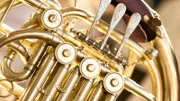 Close Up of French Horn Buttons