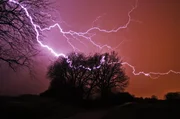 Ein so genannter Crawler: So werden Blitze genannt, die wie Spinnen über den Himmel kriechen, idealerweise unter den Wolken. Dann freut sich der Gewitterjäger. Sie sind oft recht langsam und lang, wunderbare Bildmotive.