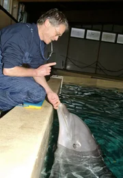 Tierpfleger aus dem Zoo in Münster erzählen rührende, manchmal auch traurige Geschichten, die sie im Laufe der Zeit erlebt haben.