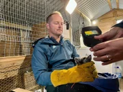 Craig Jackson hält einen wenige Wochen alten Polarfuchs fest. Mit einer Wärmebildkamera misst Kristine Ulvund die Oberflächentemperatur des Fuchs-Kopfes. Im Hintergrund Tierärztin Marianne Furnes